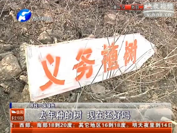 去年種的樹 現(xiàn)在還好嗎？