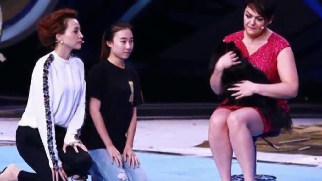 又當(dāng)托？ 董卿節(jié)目現(xiàn)場當(dāng)眾對狗下跪稱被催眠