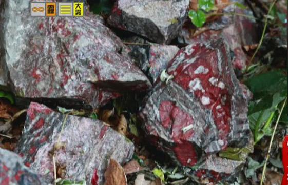 驚！神農(nóng)架無人區(qū)現(xiàn)神秘玉石