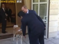 普京牽狗見安倍 安倍向狗“示好”