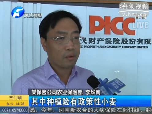 冰雹惹禍 損失能索賠嗎？