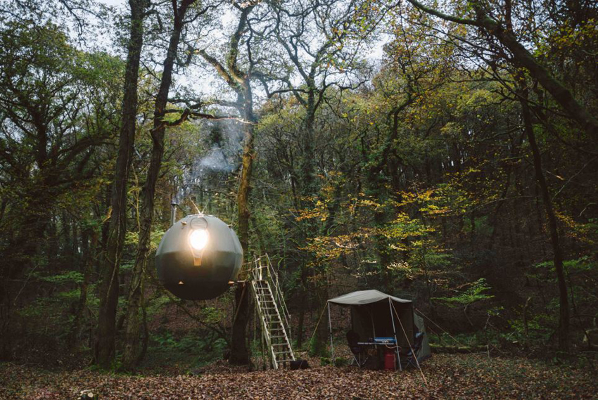 英公"球體樹(shù)屋"受青睞.